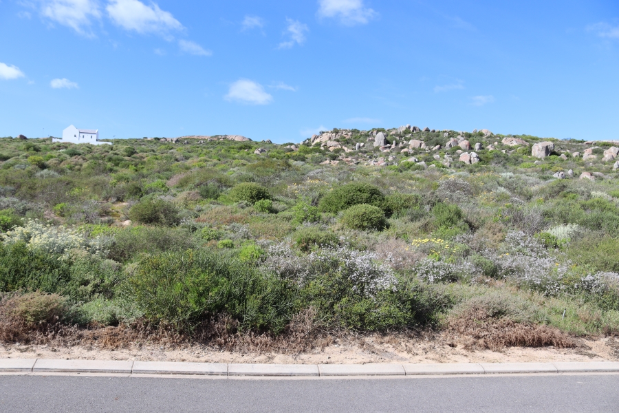 0 Bedroom Property for Sale in Steenbergs Cove Western Cape